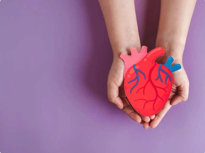 Những điều cần loại bỏ khỏi chế độ ăn kiêng? Xơ vữa động mạch là tình trạng các động mạch trở nên dày lên và cản trở dòng máu đến tim, cuối cùng dẫn đến các bệnh về tim và đau tim. Theo chuyên gia, cách đầu tiên và quan trọng nhất để đảo ngược tình trạng là loại bỏ một số loại thực phẩm có nhiều chất béo và có thể làm tăng mức cholesterol LDL như dầu, trái cây khô và các loại hạt.