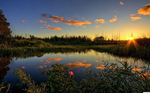 br/> 1. Vườn quốc gia Everglades - Hợp chủng quốc Hoa Kỳ: Vườn cận nhiệt đới Everglades nằm ở Florida, là khu vực hoang dã lớn nhất của Bắc Mỹ, nơi một loạt các hệ sinh thái dưới nước và trên cạn có hơn 20 loài quý hiếm, có nguy cơ tuyệt chủng và bị đe dọa. Florida báo đốm, rùa da và bờm ngựa là một vài trong số những động vật nổi tiếng nhất mà ‘Glades’ bảo vệ, và đó là nơi duy nhất trên thế giới có cá sấu Mỹ và cá sấu Bắc Mỹ cùng tồn tại. Vườn quốc gia rộng 1,5 triệu mẫu Anh cũng chứa cả cộng đồng rừng ngập mặn lớn nhất và thảo nguyên cỏ, rất quan trọng cho động vật sinh sản và di cư. Các mối đe dọa đối với khu vực bảo tồn này bao gồm phát triển đô thị, săn bắn và ngộ độc thủy ngân...