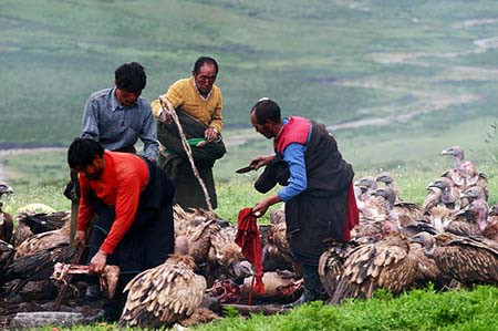 Sau khi mổ xẻ thi thể người quá cố, các Lạt Ma sẽ thắp hương mời kền kền đến ăn thịt. Người ta còn đặt hoa quả và các loại thực phẩm khác để thu hút hàng trăm con đến ăn.