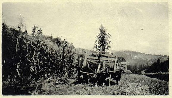 Ảnh chụp UFO tại khu vực trang trại của Mỹ những năm 1920.