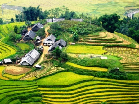 Ruộng bậc thang đẹp tuyệt vời ở Sapa là điểm dừng chân lý tưởng dành cho du khách. Trang Touropia cũng xếp hạng ruộng bậc thang Sa Pa của Việt Nam nằm trong top 11 ruộng bậc thang đẹp nhất thế giới.