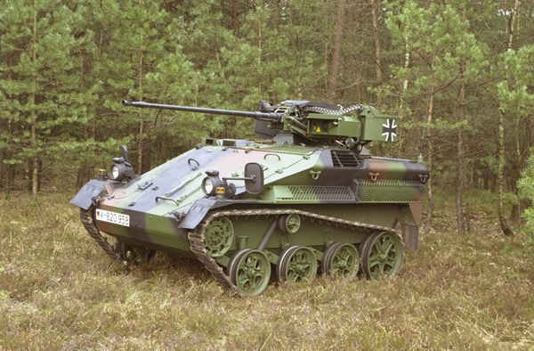 Wiesel AWC là một xe chiến đấu bộ binh nhỏ gọn do Porsche (thương hiệu xe hơi hạng sang của Đức) sản xuất. Nó có vai trò và kích thước rất giống loại "Tankette" (loại xe chiến đấu bọc thép trong chiến tranh thế giới thứ 2). Quân đội Đức chủ yếu sử dụng Wiesel trong các đơn vị đặc nhiệm. Nó có thể trang bị vũ khí gồm 1 pháo tự động 30 mm hoặc tên lửa chống tăng HOT. Ảnh: Homepage.eircom.