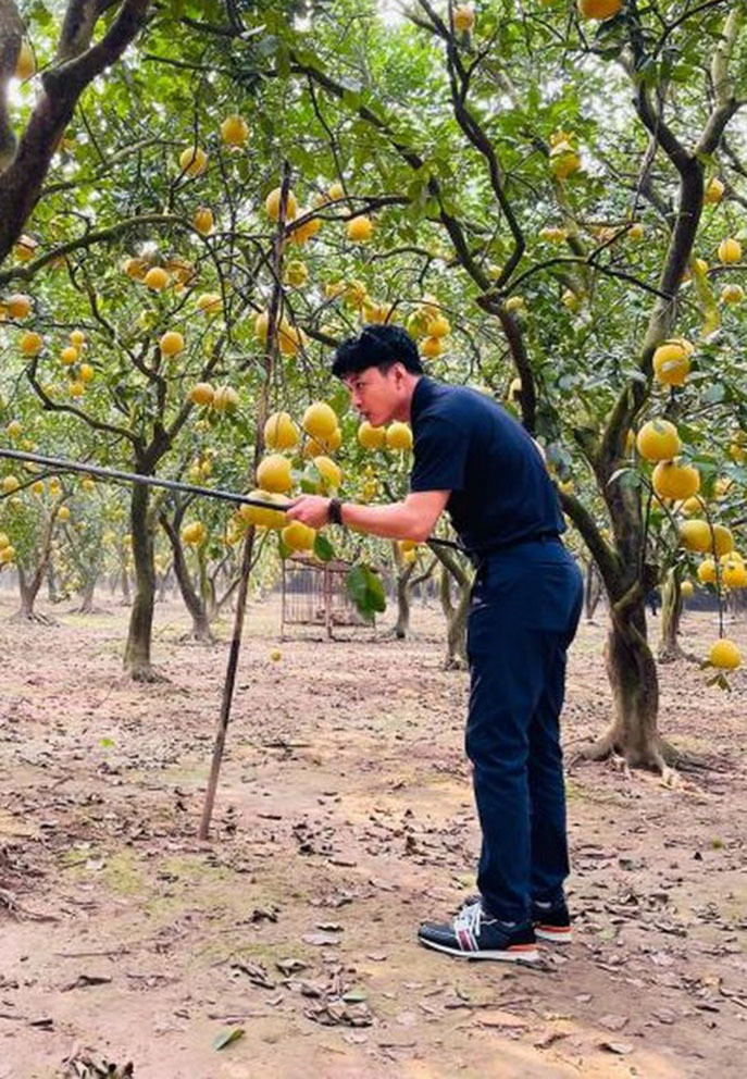 Hồng Đăng thích thú với vườn bưởi sai trĩu quả.