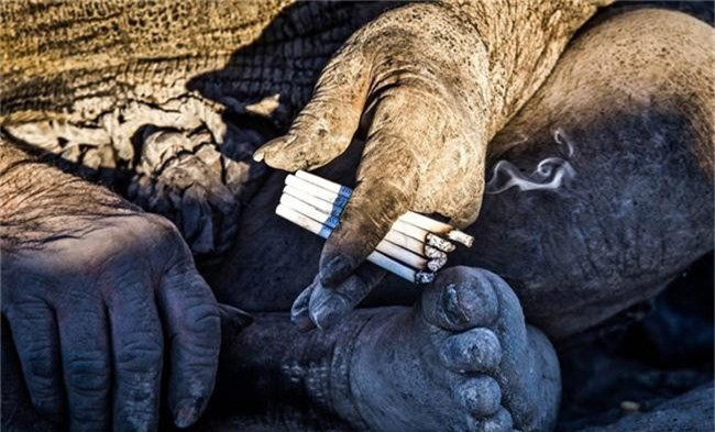 Ngoài ra, ông cũng có sở thích hút thuốc với một lần từ 4 - 5 điếu.
