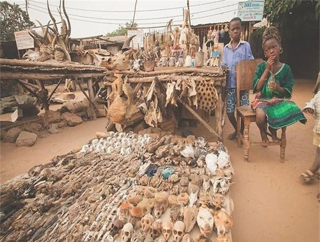##sc### 6. Chợ Akodessewa Flim, Togo. Đầu lâu, xương người và động vật là những mặt hàng được bán tại chợ này.