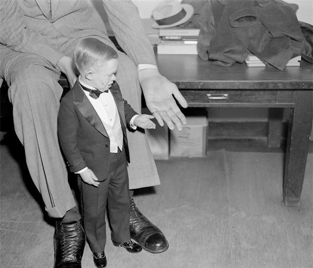 Bàn tay của Wadlow và bàn tay của một thành viên trong đoàn xiếc Ringling Brother năm 1937.