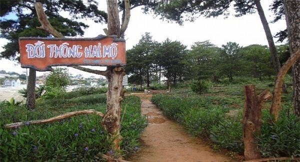 Ngôi mộ này gắn liền với câu chuyện tình éo le cách đây gần 60 năm giữa chàng trai tênVũ Minh Tâm và cô gái tên Lê Thị Thảo. Cả hai có mối tình sâu nặng, chung thủy nhưng không thể đến với nhau. Họ đã chọn cái chết để được bên nhau mãi mãi. Ngôi mộ của họ được xây dựng ngay dưới chân đồi thông. Cũng từ đó, hồ Sương Mai bên đồi thông được đổi tên thành hồ Than Thở và ngọn đồi được mang cái tên Đồi Thông Hai Mộ như nhắc nhở về chuyện tình đau buồn, ám ảnh của đôi trai gái bạc mệnh.