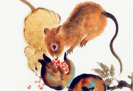 Đây là phúc đức cả đời tích lũy, nếu gặp phải thất bại, có thể dũng cảm không sợ hãi, sự nghiệp nhất định sẽ phát triển vượt bậc, vận may dồn dập, tài lộc càng ngày càng vượng theo tuổi tác, chính là kỳ vọng sẽ đạt đến đỉnh cao của cuộc sống.