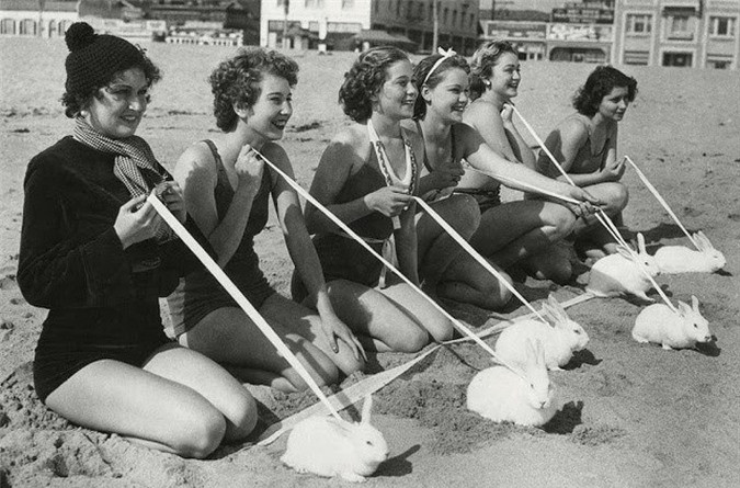uộc đua thỏ trên bãi biển Venice, California năm 1935.