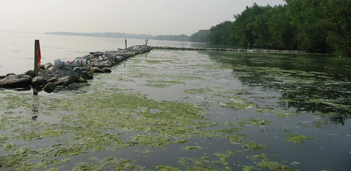 8. Hồ Onondaga, Mỹ: Vào thế kỷ XIX, hồ Onondaga là một địa điểm nghỉ dưỡng khá phổ biến. Một thế kỷ sau, do tác động của quá trình hiện đại hóa, hồ Onondaga đã nằm trên bờ vực của thảm họa sinh thái. Bị bão hòa do chất thải công nghiệp nitrat, phốt phát, thủy ngân và vi khuẩn gây bệnh... hồ bị chính phủ đưa ra sắc lệnh cấm bơi lội và câu cá từ năm 1940. Sau lệnh cấm, người ta đã lắp đặt các cơ sở xử lý nước sạch, tình hình hồ đang dần được cải thiện, nhưng để làm sạch nước phải cần một thời gian rất dài.
