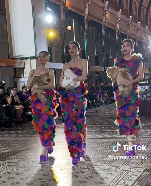 Tối 3/12, Đỗ Thị Hà xuất hiện trong một show diễn thời trang tại TP.HCM. Chân dài xứ Thanh có màn catwalk 3 người, cùng với 2 hoa hậu Lương Thùy Linh và Huỳnh Nguyễn Mai Phương. 3 hoa hậu nổi tiếng diện trang phục sắc màu, cùng nhau sải bước với thú cưng trên tay. Tuy nhiên, sự cố bất ngờ xảy đến với Đỗ Thị Hà, khi chú mèo "không nghe lời" cô, dần tuột khỏi tay và chạy đi nơi khác.