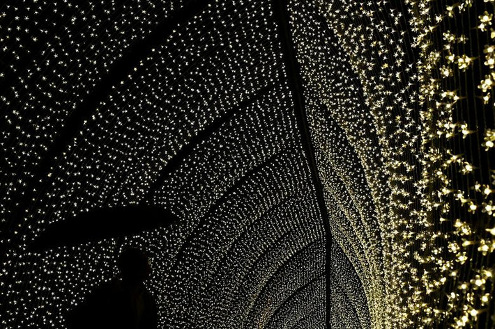 Tác phẩm sắp đặt ánh sáng mừng Giáng sinh tại Kew Gardens ở London, Anh. Ảnh: Reuters.