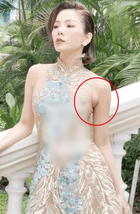 uy nhiên, do thiết kế của chiếc dầm là dáng cao cổ lại hở tay nên phần mỡ nách của nữ ca sĩ bị lộ rõ mồn một.