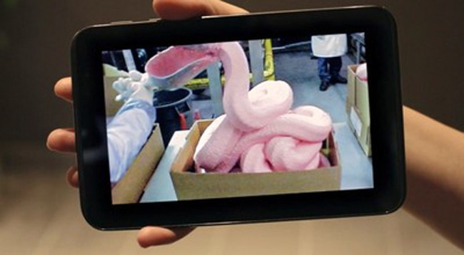 "Trong suốt quá trình sản xuất gà miếng McNuggets, hoàn toàn không có sự xuất hiện của hóa chất màu hồng nào hết", Nicoletta Stefou, nhà quản lý chuỗi cung ứng McDonald's tại Canada khẳng định.