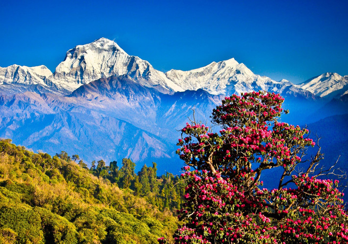 9. Nepal - Thiên đường của những du khách thích leo núi: Đến Nepal, du khách có thể đắm mình trong vẻ đẹp đáng kinh ngạc, từ nghệ thuật truyền thống đa dạng cho đến việc ngắm mặt trời mọc trên dãy núi Himalaya, dạo quanh những vùng thôn quê, thăm xưởng gốm và dệt may, khám phá các ngôi đền và tu viện tuyệt đẹp...