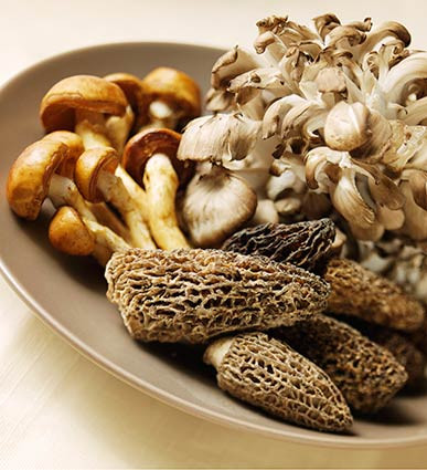 Nấm hương và nấm linh chi có khả năng làm giảm thiểu tác hại đối với tế bào gan của các chất như carbon tetrachlorid, thioacetamide và prednisone, làm tăng hàm lượng glucogen trong gan và hạ thấp men gan. Nấm bạch linh và trư linh có tác dụng lợi niệu, kiện tỳ, an thần, thường được dùng trong những đơn thuốc Đông dược điều trị viêm gan cấp tính.