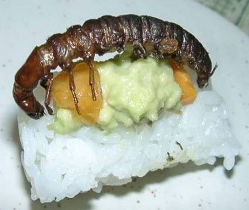 Sushi rết.