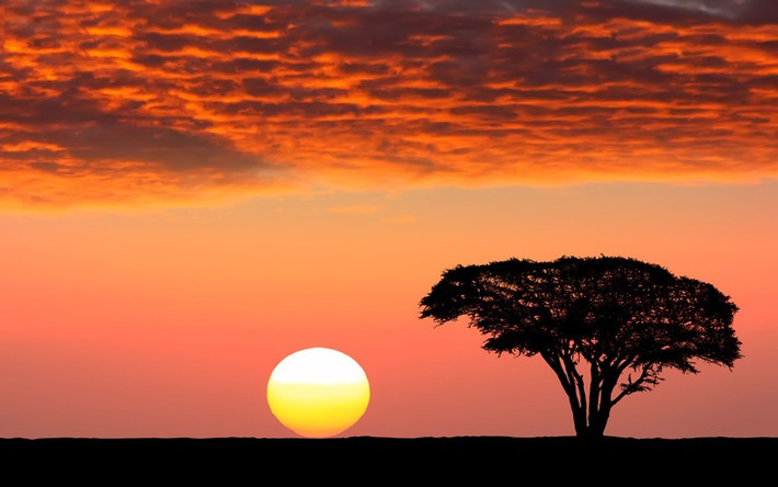 Maasai Mara, Kenya (Mỹ).