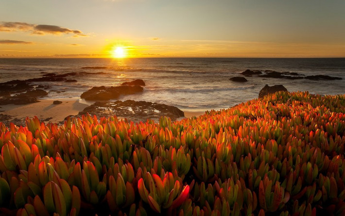 Big Sur, California (Mỹ).