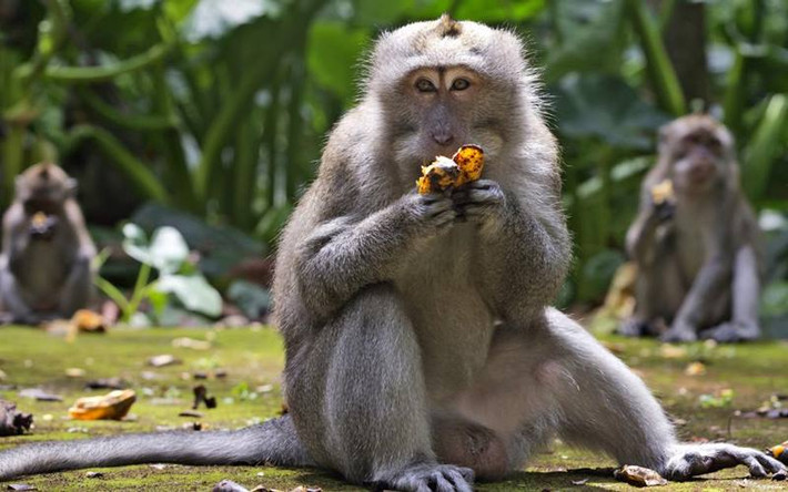 Có thể nói, đây là lúc nếu biết thể hiện những ưu điểm vượt trội về trí tuệ, con giáp này sẽ làm nên chuyện và việc có được cuộc sống dư dả, thậm chí giàu có chỉ là vấn đề thời gian.