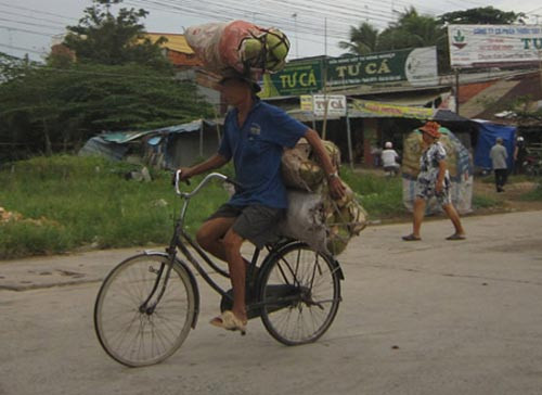 Năng lực chở hàng.