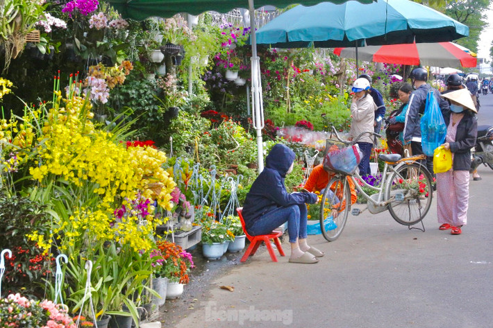 Chào đón Tết Giáp Thìn 2024, nhiều tuyến đường trên địa bàn thành phố Đà Nẵng rộn ràng sắc xuân với những chậu cây cảnh, hoa cúc, hoa lan… được các tiểu thương bày bán khắp nơi.