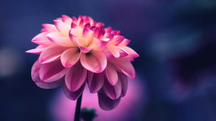 Người sinh vào thời điểm Âm lịch này sinh ra trong một gia đình tương đối giàu có. Họ được cha mẹ tạo điều kiện, có xuất phát điểm cao hơn người khác. Đồng thời, người sinh ngày Âm lịch này cũng làm việc chăm chỉ nên cả đời họ gần như không bao giờ thiếu tiền.