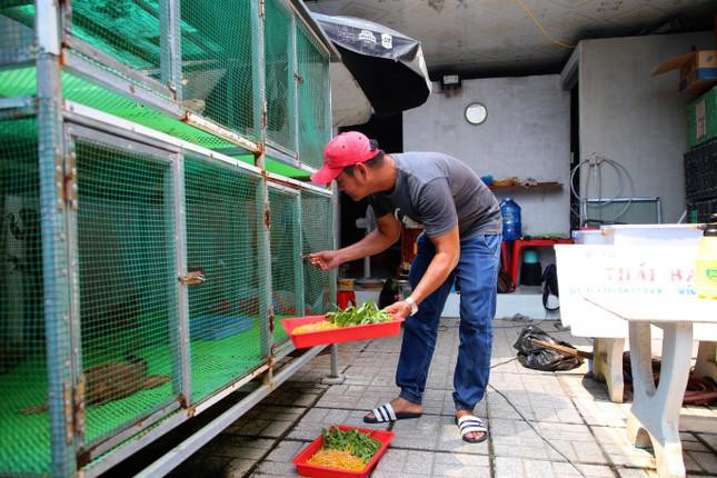 Trại chỉ rộng khoảng 100m2, được thiết kế nhiều tầng với khoảng 50 chiếc lồng thép. Mỗi lồng có chiều ngang chừng 80cm, dài từ 1,6 đến 2 m, tùy thuộc kích cỡ vật nuôi.