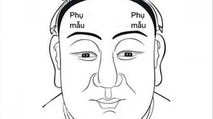 Hơn nữa, người đàn ông có tướng cằm to tròn thường rất bao dung, nên được nhiều người yêu quý. Do đó, khi cần giúp đỡ thì có người hỗ trợ ngay.