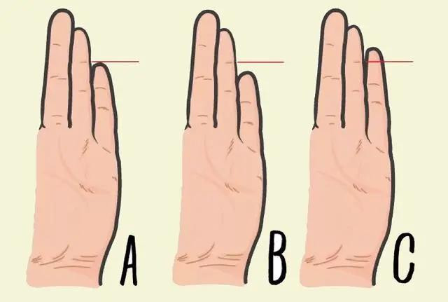 Ngón tay đeo nhẫn thế nào là dài? Duỗi thẳng các ngón tay rồi khép khít chúng lại, giơ bàn tay ra trước mặt, mở lòng bàn tay, giữ ở tư thế đối diện với mặt và quan sát.