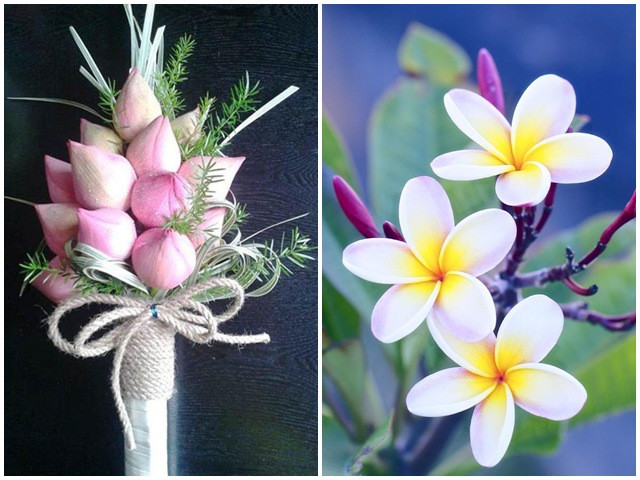 Những người này trong đời thường phải lo toan nhiều, nhưng họ đối mặt chúng bằng tinh thần thoải mái nhất có thể.