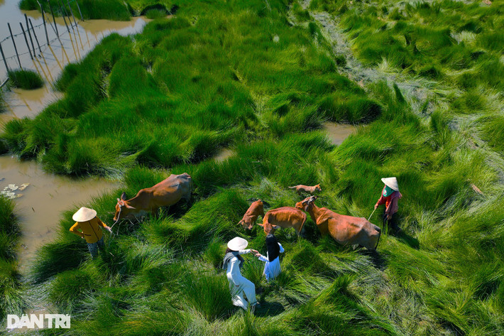 "Những tháng hè này, chúng tôi tiếp nhiều đoàn chụp ảnh từ các miền đổ về. Có ngày diễn 2 suất, cũng có ngày chúng tôi được 4-5 suất. Cũng có đồng ra đồng vào, thêm tí mắm tí thịt cá cho cuộc sống hàng ngày", bà Huệ nói. Ảnh: Cảnh December.