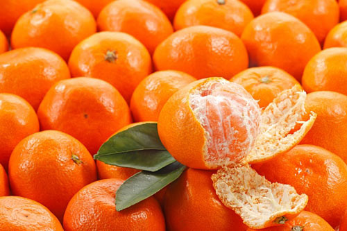 Căn cứ vào nghiên cứu của các chuyên gia, một ngày không nên ăn quá 3 quả quýt. Vì chỉ cần 3 quả quýt là đủ bổ sung nhu cầu vitamin C của mỗi người. Nếu ăn nhiều quýt sẽ có hại cho vòm miệng và răng.