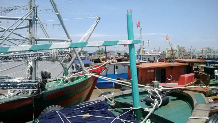 Tàu nọ nối với tàu kia để tránh thiệt hại do bão.