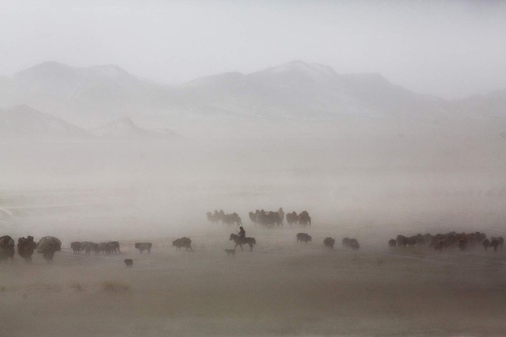 Ngày nay, số người Kazakhstan du mục là khoảng 100.000 người. Ảnh: Getty Images.