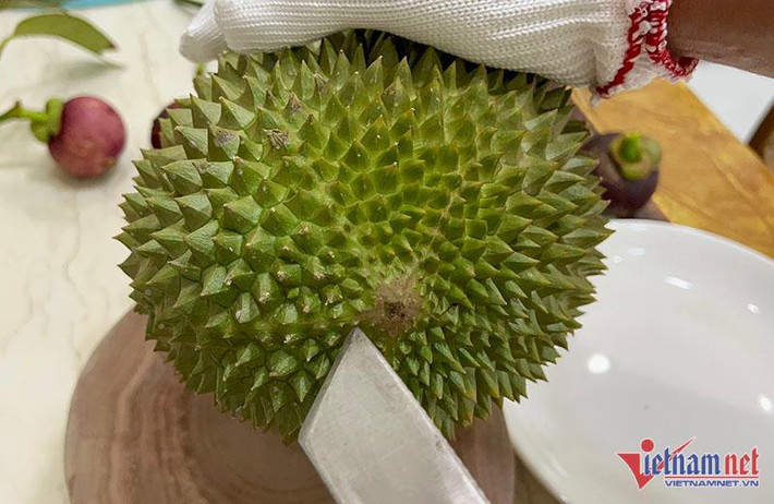 Đầu mối bỏ sỉ sầu Musang King cho biết, loại sầu này luôn trong tình trạng "cháy hàng".