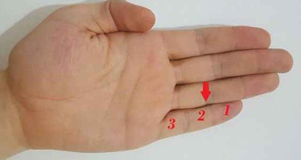 Mỗi ngón đều có 3 đốt ngón tay, ở mỗi một đốt ngón tay cũng không có cùng cách giải thích, do đó, chiều dài ngón áp út có thể nói lên nhân cách tốt xấu, cũng như khả năng giao tiếp và trình độ hiểu biết của một người. Nâng bàn tay phải của bạn lên. Tốt nhất là xòe bàn tay ra, để ngón út và ngón áp út (ngón đeo nhẫn) ngang nhau.
