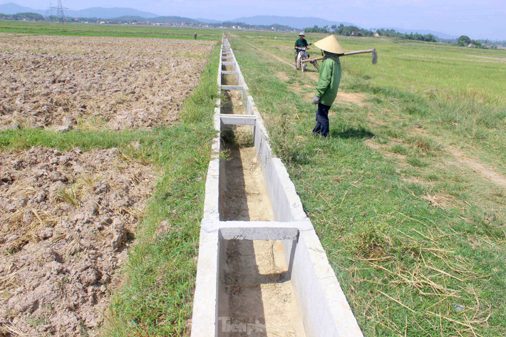 Vụ hè thu năm nay, Nghệ An sẽ gieo trồng 81.000 ha lúa. Theo nhận định, đây là vụ sản xuất đối mặt với rất nhiều khó khăn, thách thức. Dự kiến toàn tỉnh có đến trên 6.500 ha có nguy cơ hạn, thiếu nước. Trong ảnh, nguồn nước cạn kiệt, kênh mương khô hạn nên không thể triển khai sản xuất vụ hè thu đúng tiến độ.