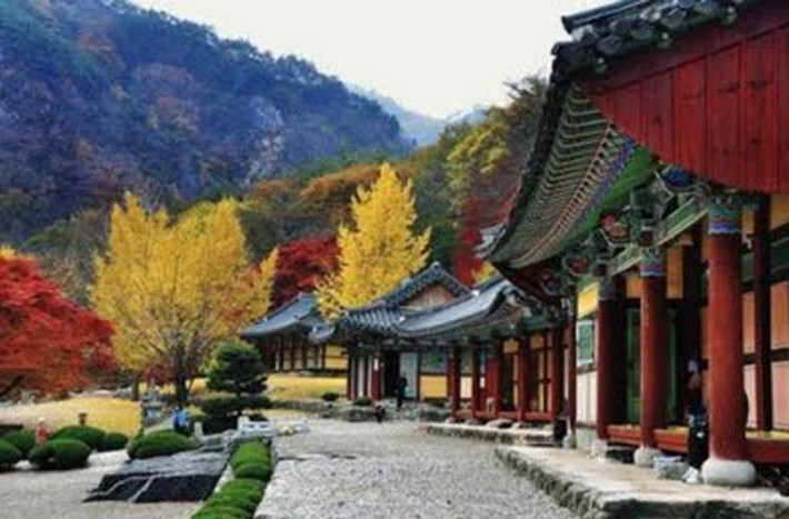 Chùa Gangcheonsa được xây dựng vào năm 1316, trong đó có 5 tầng bằng đá. Người dân Hàn Quốc cho hay ngôi chùa có thể dung nạp tới 1.000 nhà sư.