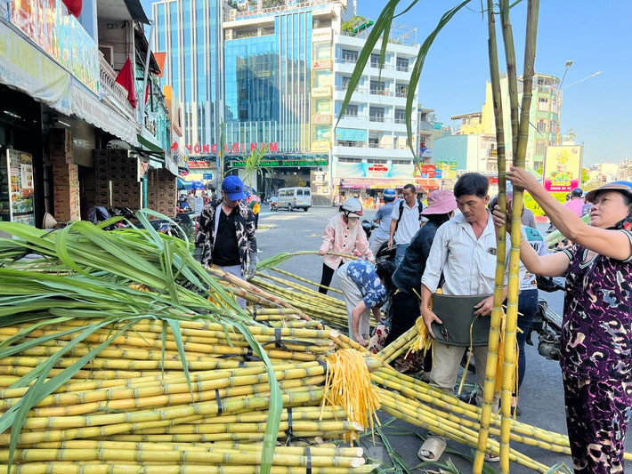 Mía để cúng lễ được mọi người chọn rất kĩ từng cây một, phải mua mía thẳng, hai cây đều nhau, dài khoảng 2 mét là chuẩn nhất. Khách hàng so từng cây mía để chọn mua.