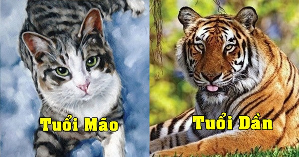 Sau khi về chung một nhà, cặp đôi ban đầu có thể vướng phải một số khó khăn về kinh tế. Tuy nhiên, chỉ một thời gian sau, khi vợ chồng đồng lòng, trợ giúp nhau thì họ sẽ phất lên như diều gặp gió, đường con cái cũng suôn sẻ.