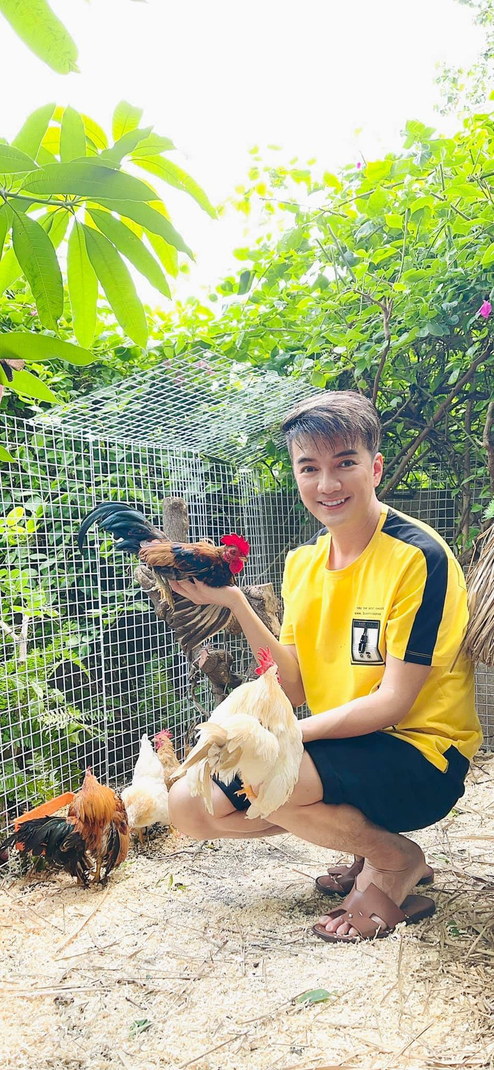 Đàm Vĩnh Hưng đăng ảnh bên các chú gà và viết: ''Thấy nhiều người khoe về quê! Mình không có quê nên cũng hơi quê quê! Quyết định làm một góc quê cho đỡ quê với người có quê!''.