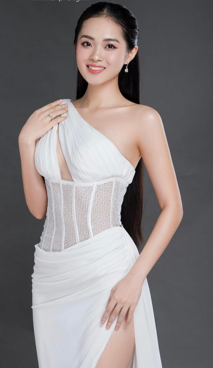 Phương Anh chuẩn bị hai năm cho Hoa hậu Việt Nam. Cô hiện bảo lưu việc học tại trường để đồng hành với những hoạt động của cuộc thi.