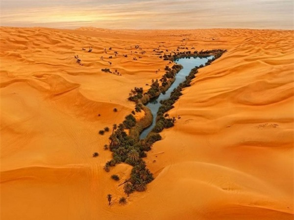 Ảnh chụp từ trên cao của ốc đảo Ubari, nằm lọt thỏm giữa lòng sa mạc Libya