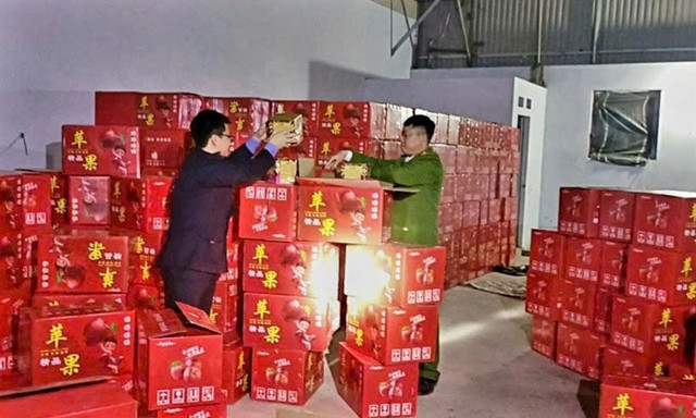 Tang vật pháo hoa nổ trong kho bị lực lượng Công an phát hiện. 123.jpg