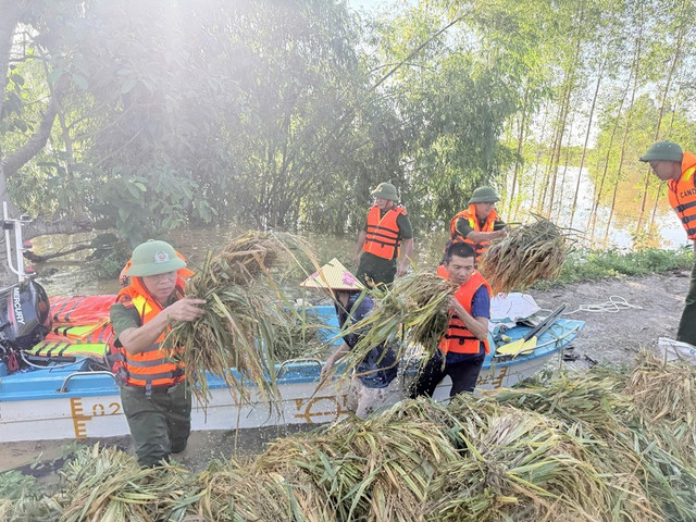Công an xã Mỹ Thái giúp người dân gặt lúa vượt lũ. a1-2855.jpg