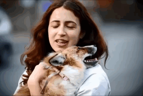 Ngoài Todd, Emma còn nuôi hai chú chó khác và Todd luôn gần gũi, vui vẻ chơi đùa cùng hai chú chó đó.