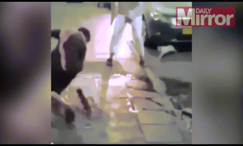 Meo me duoi 2 ke choc gheo meo con chay mat dep