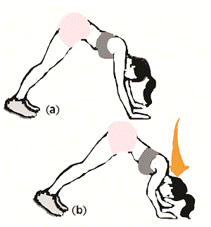 Tư thế giương cung ngược: Chống 2 tay trên sàn, tay đặt xa hơn vai và nâng hông lên sao cho cơ thể gần như vuông góc với sàn. Từ vị trí này, cong khuỷu tay lại để hạ người xuống đến khi đầu gần chạm sàn (a). Dừng lại, kế đó chống khuỷu tay lên trở về vị trí bắt đầu (b). Có thể đặt hai chân trên một bậc thang hoặc chiếc ghế dài để tăng độ khó.