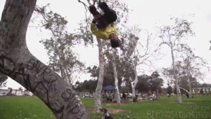 Lộn nhào khéo léo không thua kém gì chủ nhân.